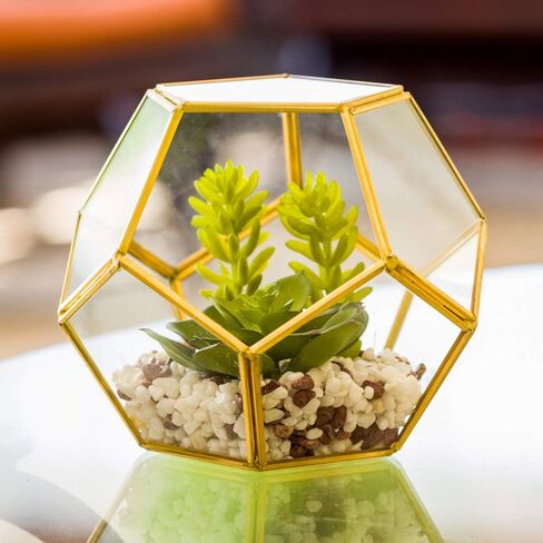 4.7 x 5 Inch Faux Succulent, 1 Realistic Artificial Succulent - In Incline Edge Glass Terrarium, Use As Table Decor, Shelf Decor, Or Centerpiece, Plastic Fake Desk Plant, For Homes Or Weddings in Saudi Arabia