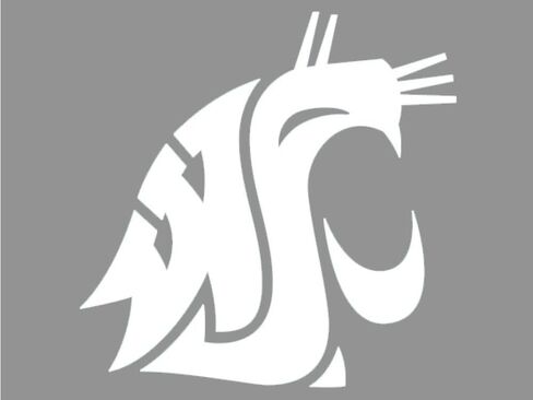 Wincraft NCAA Washington State University WCR34885071 Perfect Cut Decals, 8" x 8" in Saudi Arabia