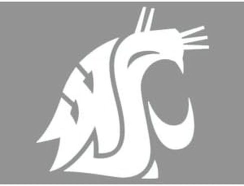Wincraft NCAA Washington State University WCR34885071 Perfect Cut Decals, 8" x 8" in Saudi Arabia