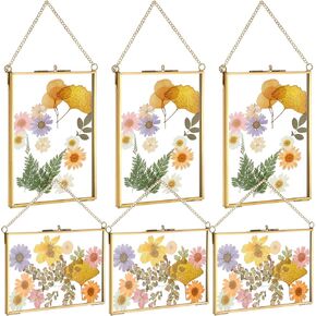 6 Pieces Brass Double Glass Frame 5 x 7 Inch Gold Floating Hanging Photo Frame Clear Horizontal and Vertical Pressed Flower Frames with Chain for Gallery Pictures Vintage Artwork Display