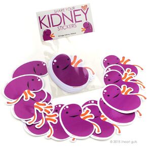 I Heart Guts Share Your Kidneys Stickers - 15 Kidney Stickers - Vinyl Sticker Pack