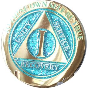 1 Year Elegant Glitter Aqua Turquoise Gold Silver Bi-Plated AA Medallion Chip