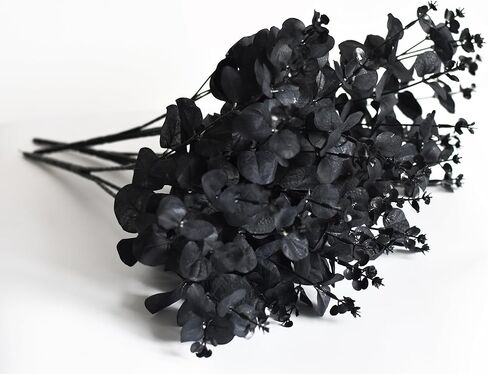 3 حزم من سيقان الأوكالبتوس السوداء الاصطناعية، 48 فرعًا من أوراق الأوكالبتوس باقة فروع لترتيب الزهور بنفسك، زهور حرير سوداء للمنزل وغرفة الهالوين والحمام والمطبخ والديكور القوطي in Kuwait