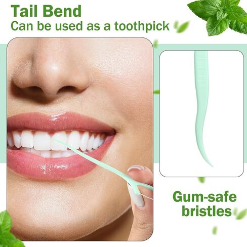 Maxcheck 2000 Count Floss Picks Bulk Natural Dental Floss Picks Toothpicks Sticks High Pull Tooth Flosser Picks Sustainable Floss Picks for Teeth (Black) in Saudi Arabia