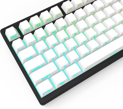 IOAOI PBT Keycaps - Side Print Keycaps, Shine Through PBT Keycaps, 131 Keys OEM Profile Keyboard Keycaps for 100%, 75%, 65%, 60% MX-stem Switches Keyboards - Blue in Saudi Arabia