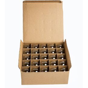 Hometown Evolution, Inc. Box of 25 S14 LED Filament 1 Watt Commercial E26 Base Replacement Bulbs
