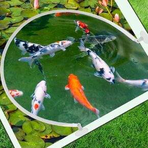 2 Pcs Aquarium Floating Plant Corral, Floating Plant Fence for Aquarium Accessories, Separates Floating Plants, Auto-Adjusts Height with Water Level, Suitable for All Floating Plants and Aquariums.