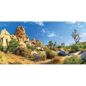 AWERT 24x12 inches Reptile Habitat Background Stone Blue Sky Oasis Cactus Sun and Desert Terrarium Background Polyester Background