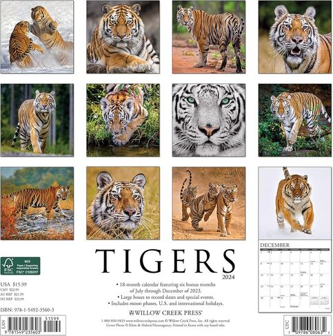 Willow Creek Press Tigers Monthly 2024 Wall Calendar (12" x 12") in Saudi Arabia