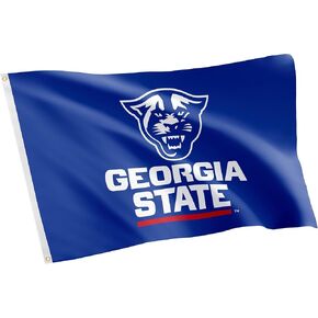 Desert Cactus Georgia State University Flag Panthers GSU Flag Banners 100% Polyester 3x5 Indoor Outdoor Flag (Style 1)