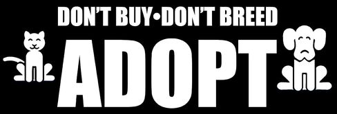 ملصق من الفينيل مطبوع عليه Don't Buy Don't Breed - Adopt Bumper (ملصق من الفينيل لحيوانات الأليفة والكلب والقط الحب والقطط لشاحنة السيارة أو الشاحنة (3 × 8 بوصة) in Saudi Arabia