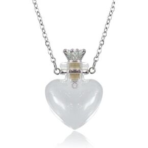 Nobrand COLORFULBLING1PC Clear Heart Vial Perfume Bottle Necklaces Stainless Steel Chain Make a Wish blood vial necklace Women Jewelry