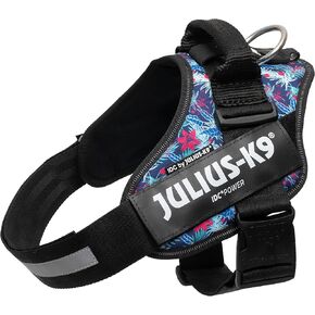 IDC Powerharness, Size: L/1, Hawaii (Limited Edition)