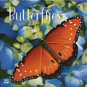 Turner Photographic Butterflies 12X12 Photo Wall Calendar (24998940010)