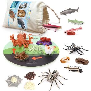 Volnau Animal Figurines Toys 16PCS Life Cycle Figure Set for Toddlers Kids Dragonfly Mantis Ant Cicada Decorations Preschool Educational Prop