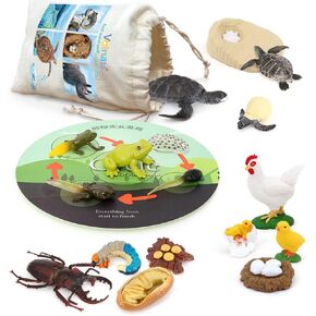 Volnau Animal Figurines Toys 16PCS Life Cycle Figure Set for Toddlers Kids Dragonfly Mantis Ant Cicada Decorations Preschool Educational Prop
