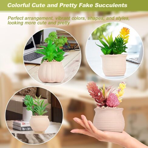 4 قطع من النباتات العصارية الاصطناعية الفنية في أواني السيراميك، نظام بيئي للنباتات العصارية المزيفة بوعاء ملون، نباتات صغيرة لطيفة للمكتب الصناعي للحمام وغرفة النوم والمكتب وديكور مكان صغير in Kuwait