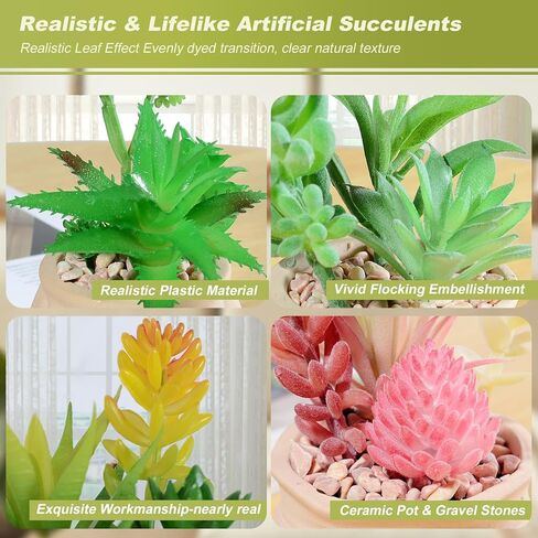 4 قطع من النباتات العصارية الاصطناعية الفنية في أواني السيراميك، نظام بيئي للنباتات العصارية المزيفة بوعاء ملون، نباتات صغيرة لطيفة للمكتب الصناعي للحمام وغرفة النوم والمكتب وديكور مكان صغير in Kuwait
