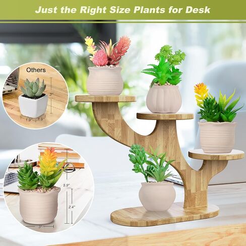 4 قطع من النباتات العصارية الاصطناعية الفنية في أواني السيراميك، نظام بيئي للنباتات العصارية المزيفة بوعاء ملون، نباتات صغيرة لطيفة للمكتب الصناعي للحمام وغرفة النوم والمكتب وديكور مكان صغير in Kuwait