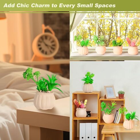 4 قطع من النباتات العصارية الاصطناعية الفنية في أواني السيراميك، نظام بيئي للنباتات العصارية المزيفة بوعاء ملون، نباتات صغيرة لطيفة للمكتب الصناعي للحمام وغرفة النوم والمكتب وديكور مكان صغير in Kuwait