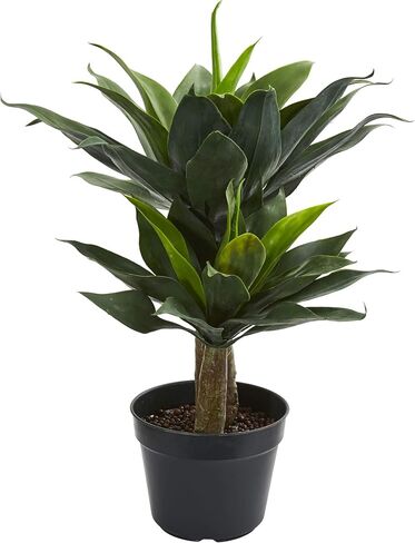 Nearly Natural 29in. Double Agave Succulent Artificial Plant in Saudi Arabia