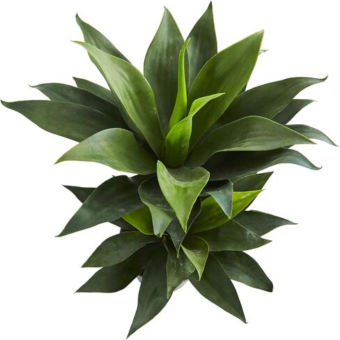 Nearly Natural 29in. Double Agave Succulent Artificial Plant in Saudi Arabia