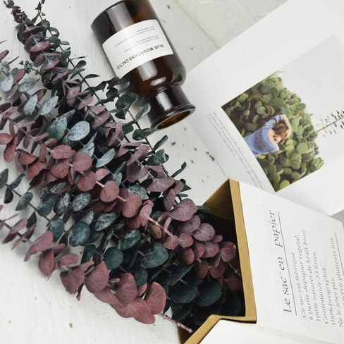 Preserved Fresh Eucalyptus Branches 17inch, 5Pcs Dried Eucalyptus Stems for Flower Arrangements Wedding Home Decor in Saudi Arabia