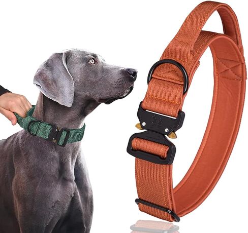 Serijoars Tactical Dog Collar, Heavy Duty Dog Collars with Handle, Metal Buckle Dog Training Collar, Thick Dog Collar for Male, Large Dog Collar, Military Dog Collar (M, Black) in Saudi Arabia