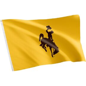 Desert Cactus University of Wyoming Flag Cowboys Banners 100% Polyester Indoor Outdoor 3x5 feet Flags (Style 9)