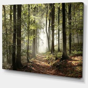 DesignArt Green Fall Forest with Sun Rays - Landscape Photography Canvas Print, Country Charm, Wall Art to Decorate Your Living Room and Bedroom, Green, Made Of Wood & Cotton Material- Large Sizes