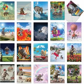The Best Card Company - 20 Assorted Bulk Animal Cards Boxed (4 x 5.12 Inch) (10 Designs, 2 Each) - Here's Looking At Zoo AM6639OCB-B2x10