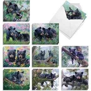 The Best Card Company - 20 Assorted Bulk Animal Cards Boxed (4 x 5.12 Inch) (10 Designs, 2 Each) - Here's Looking At Zoo AM6639OCB-B2x10 in Kuwait