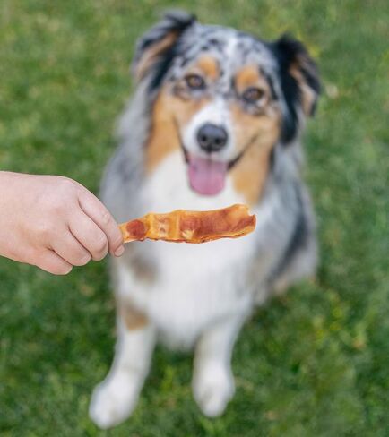 شرائط آذان الخنزير من Downtown Pet Supply - علاج الكلاب للكلاب الصغيرة - علاج أسنان الكلاب ومضغ الكلاب الخالي من الجلود الخام - يعزز المعطف الصحي والعناية بالبشرة - غني بالبروتين والفيتامينات والمعادن - 2 رطل in Saudi Arabia