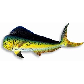 Handpainted Wall Mount Decor Plaque Mahi Mahi Green Dolphin 12"