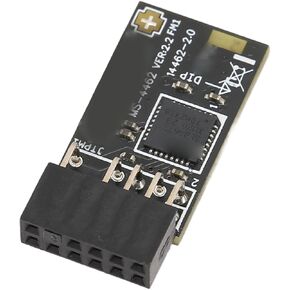 TPM2.0 Module with SLB 9672 for Motherboards, Encryption Security,10 11 Support
