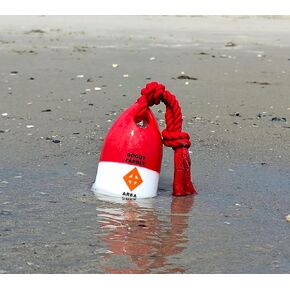The Chewy Buoy Water Dog Toy