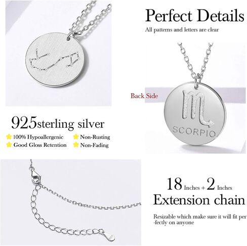 ChicSilver 925 Sterling Silver 12 Constellation Necklace Round Astrology Horoscope Zodiac Sign Pendant Necklace, Silver/Gold (with Gift Box) in Saudi Arabia