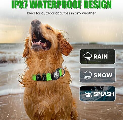 Lighted AirTag Dog Collar Rechargeable, Padded Air Tag Dog Collar, Heavy Duty Dog Collar with AirTag Holder Case, Adjustable Air Tag Accessories Pet Collar for Small Medium Large Dogs(Green,L) in Kuwait
