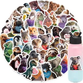 50PC Cute Animal Stickers for Kids, Cartoon Opossum Stickers for Kids Water Bottle Waterproof Stickers Packs Vinyl Assorted Sticker Bulk for Girls, Boys, Teens