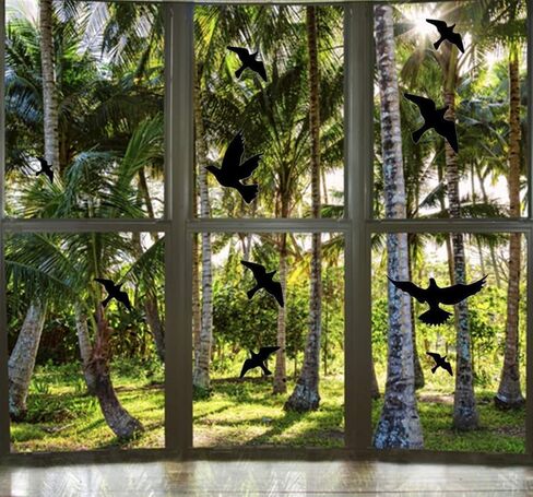 Anti Collision Window Bird Stickers Cling Save Birds and Glass Door Protection(12 Pcs Black) in Saudi Arabia