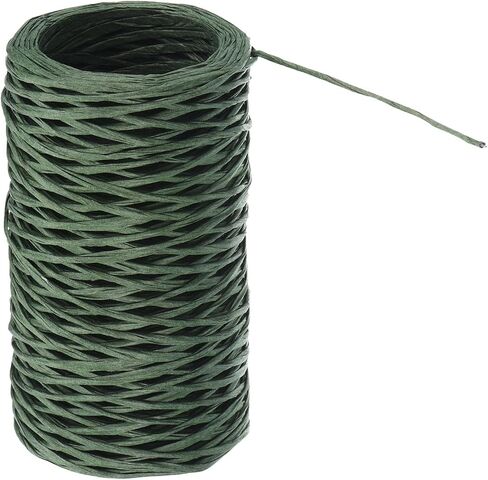 PATIKIL 164 Feet Floral Bind Wire Wrap Twine, 1mm Florist Wire Iron Wire Paper Covered Vine Wrapping Binding Wire for Flower Bouquets, Green in Saudi Arabia