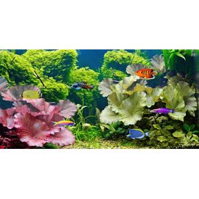 YongFoto Fish Tank Background 24x12 inch Aquarium Background Underwater World River Bed Sand Gravel Waterweeds Lake Aquatic Plant Backdrop Reptile Habitat Terrarium Background