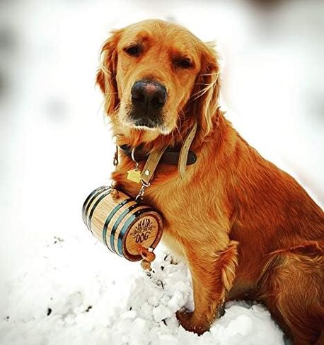 St Bernard Whiskey Barrel Collar for Dog, 'Hair of the Dog' - 1/2 Liter Oak Aging Barrel Dispenser for Saint Bernard Dogs with Adjustable, Real Leather Harness Strap in Saudi Arabia