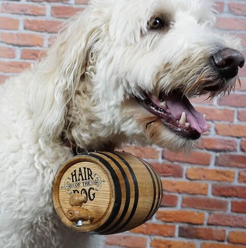 St Bernard Whiskey Barrel Collar for Dog, 'Hair of the Dog' - 1/2 Liter Oak Aging Barrel Dispenser for Saint Bernard Dogs with Adjustable, Real Leather Harness Strap in Saudi Arabia