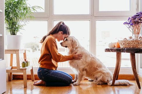 NutriChomps مضغ للكلاب، عقدة 4 بوصة، سهلة الهضم، مكافآت للكلاب خالية من الجلود الخام، 9 قطع من نكهة الحليب الحقيقية in Kuwait