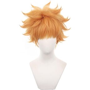 باروكة قصيرة باللون الأرجواني الداكن، شعر مستعار كوسبلاي ريو ميكاجي أنيمي لعبة بلو لوك للرجال، شعر مستعار بديل للشعر للصبيان وحفلات الهالوين وعيد الميلاد (قصير ريو ميكاجي) in Kuwait