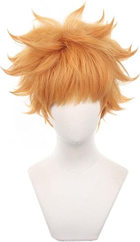 باروكة قصيرة باللون الأرجواني الداكن، شعر مستعار كوسبلاي ريو ميكاجي أنيمي لعبة بلو لوك للرجال، شعر مستعار بديل للشعر للصبيان وحفلات الهالوين وعيد الميلاد (قصير ريو ميكاجي) in Kuwait