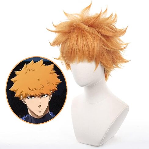 باروكة قصيرة باللون الأرجواني الداكن، شعر مستعار كوسبلاي ريو ميكاجي أنيمي لعبة بلو لوك للرجال، شعر مستعار بديل للشعر للصبيان وحفلات الهالوين وعيد الميلاد (قصير ريو ميكاجي) in Kuwait