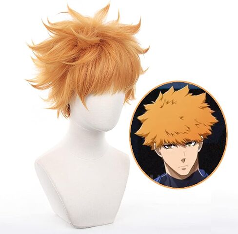 باروكة قصيرة باللون الأرجواني الداكن، شعر مستعار كوسبلاي ريو ميكاجي أنيمي لعبة بلو لوك للرجال، شعر مستعار بديل للشعر للصبيان وحفلات الهالوين وعيد الميلاد (قصير ريو ميكاجي) in Kuwait