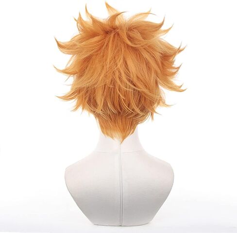 باروكة قصيرة باللون الأرجواني الداكن، شعر مستعار كوسبلاي ريو ميكاجي أنيمي لعبة بلو لوك للرجال، شعر مستعار بديل للشعر للصبيان وحفلات الهالوين وعيد الميلاد (قصير ريو ميكاجي) in Kuwait